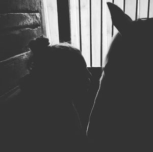 Meet your Posher, Joy